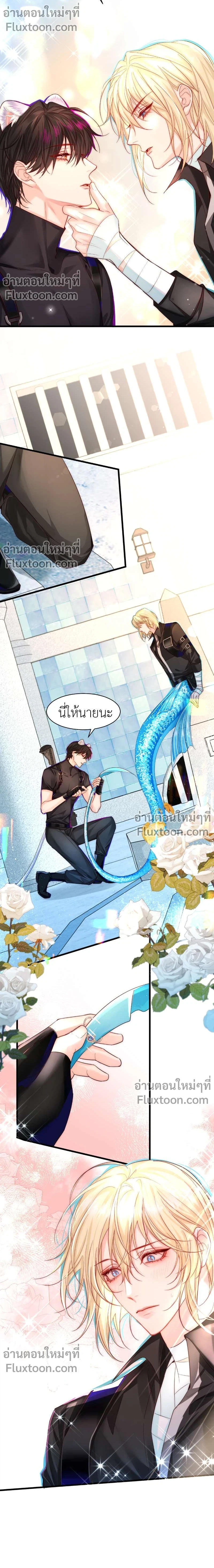หน้าที่ 3