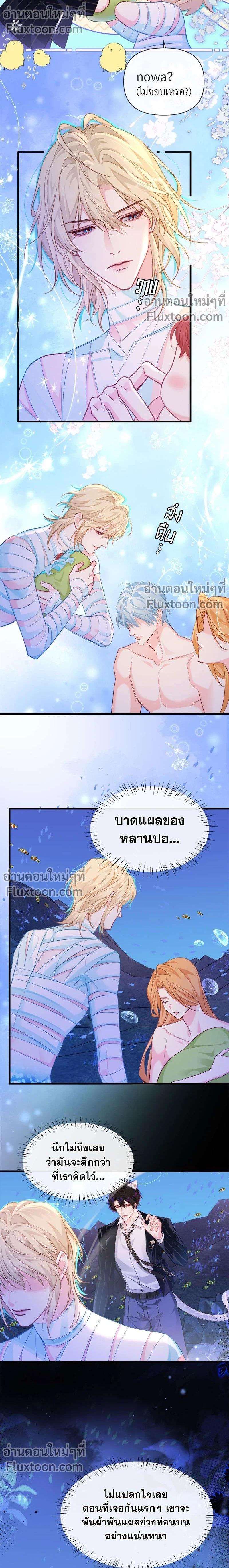 หน้าที่ 5