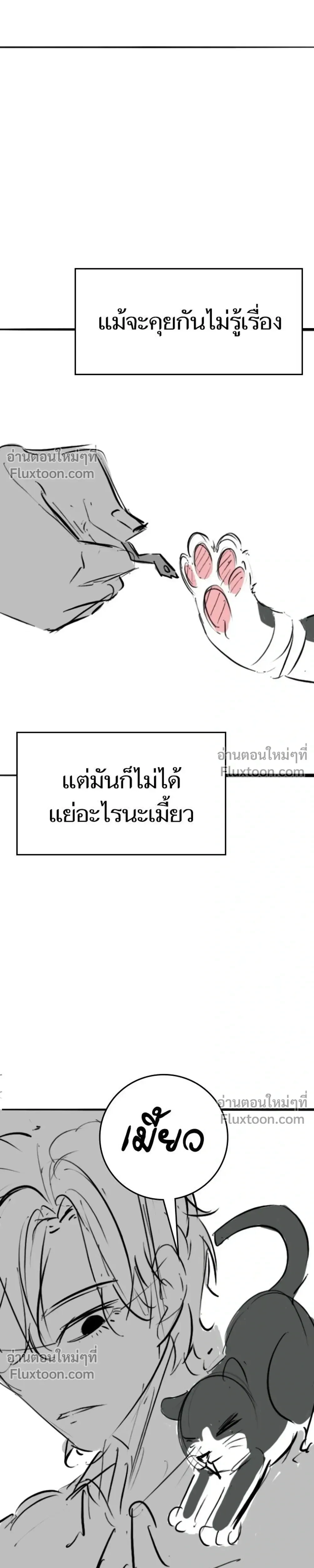 หน้าที่ 29