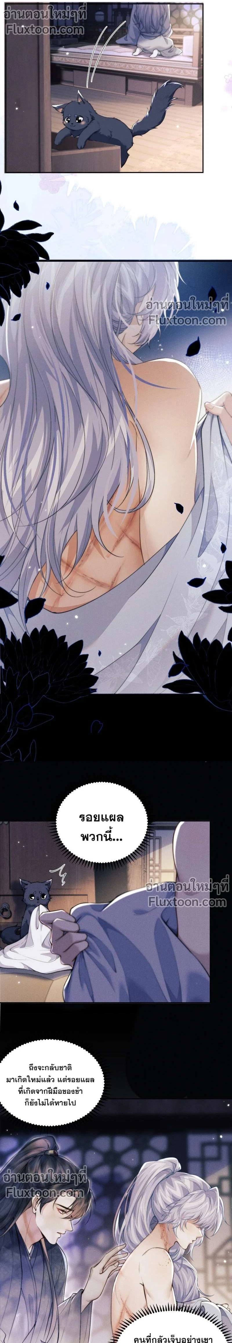 หน้าที่ 3