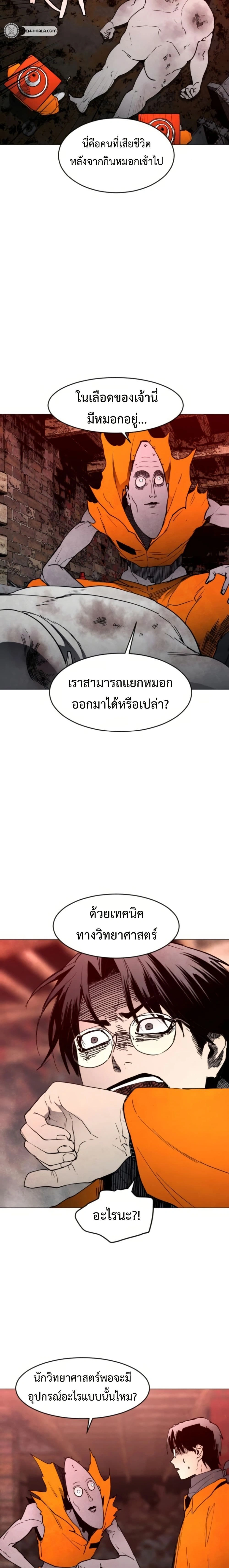 หน้าที่ 13