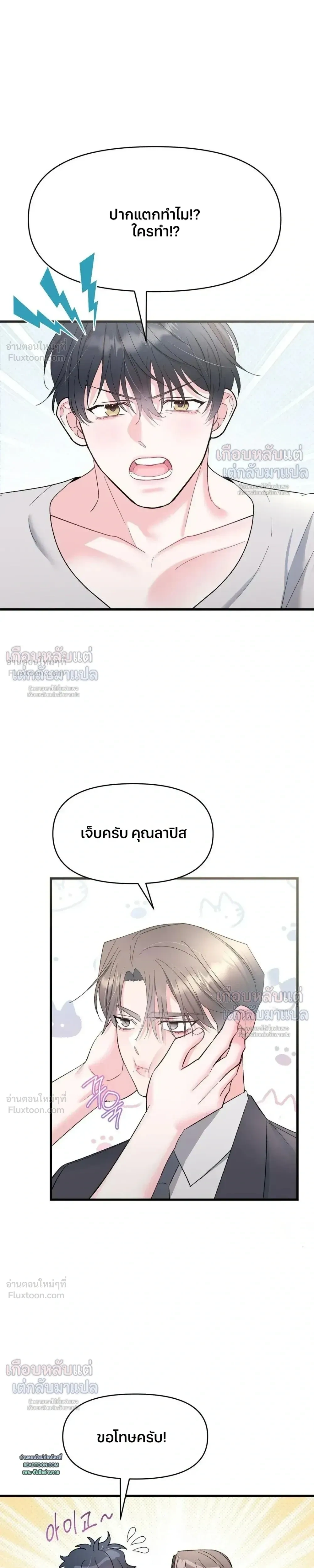 หน้าที่ 13