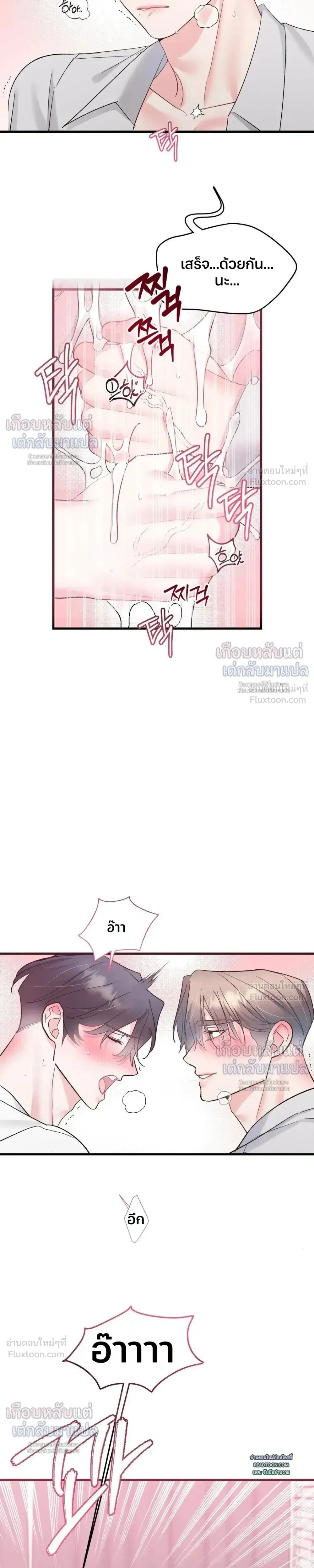 หน้าที่ 13
