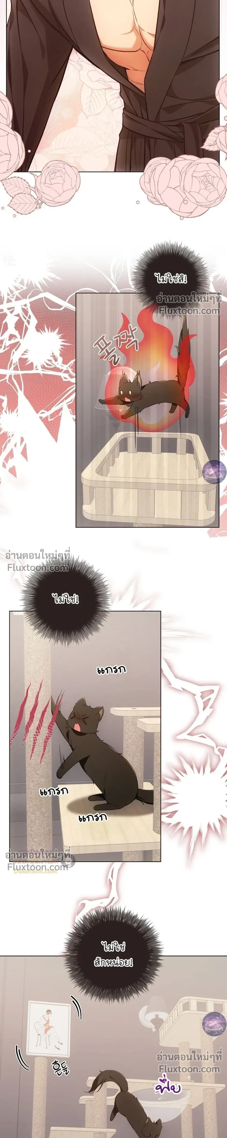 หน้าที่ 13