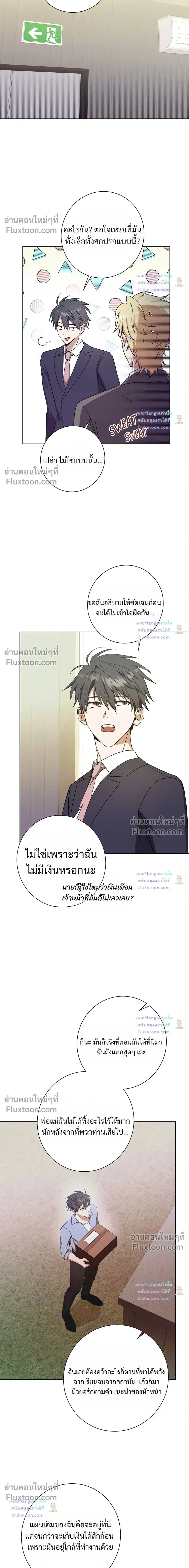 หน้าที่ 13