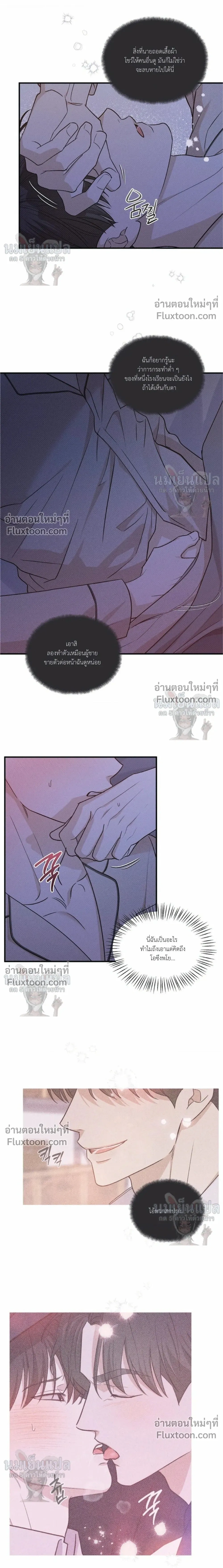 หน้าที่ 13