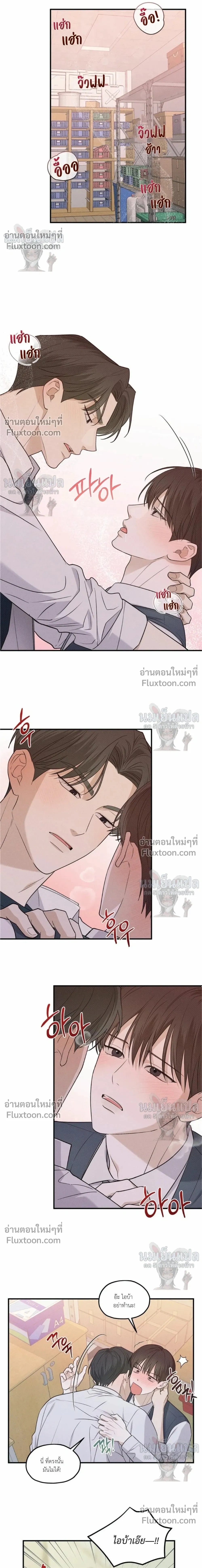 หน้าที่ 13