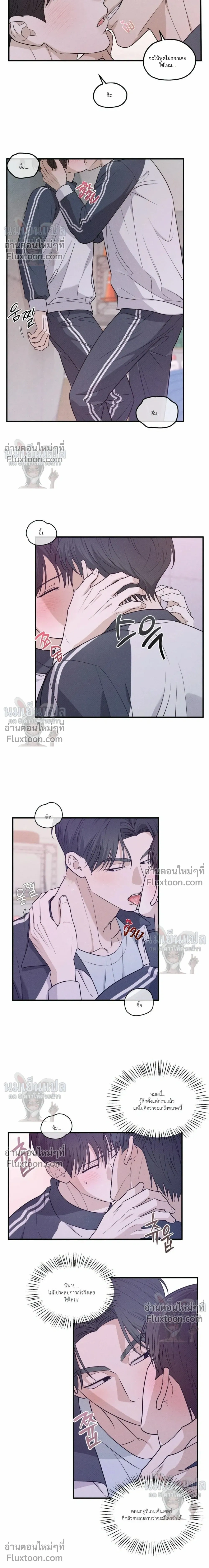 หน้าที่ 13