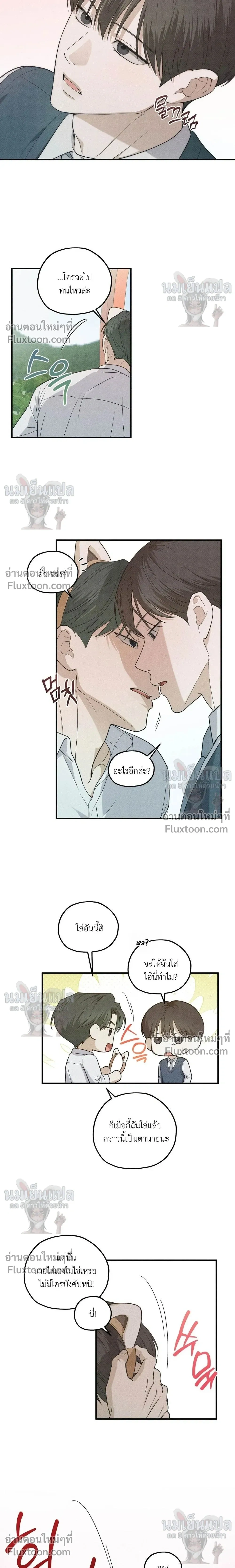 หน้าที่ 11