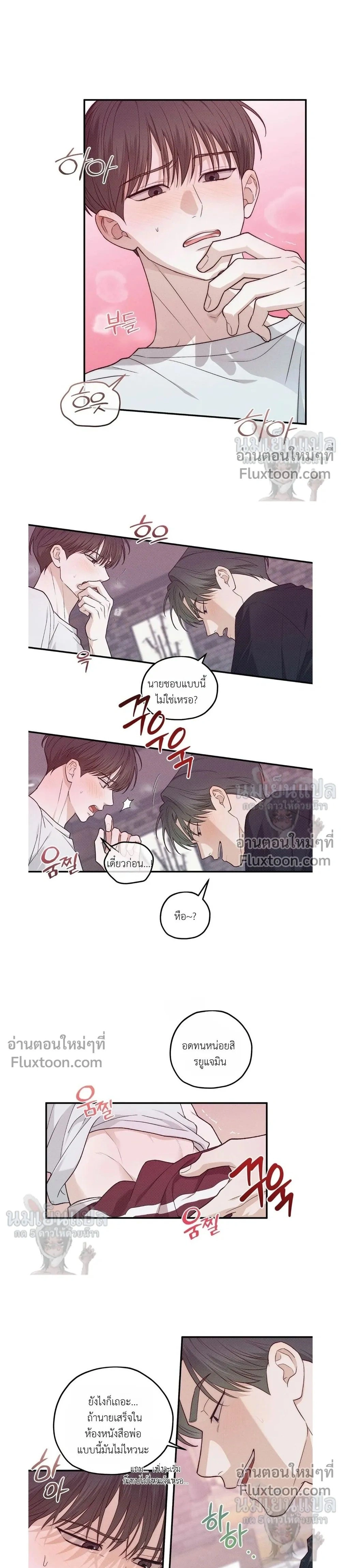 หน้าที่ 13