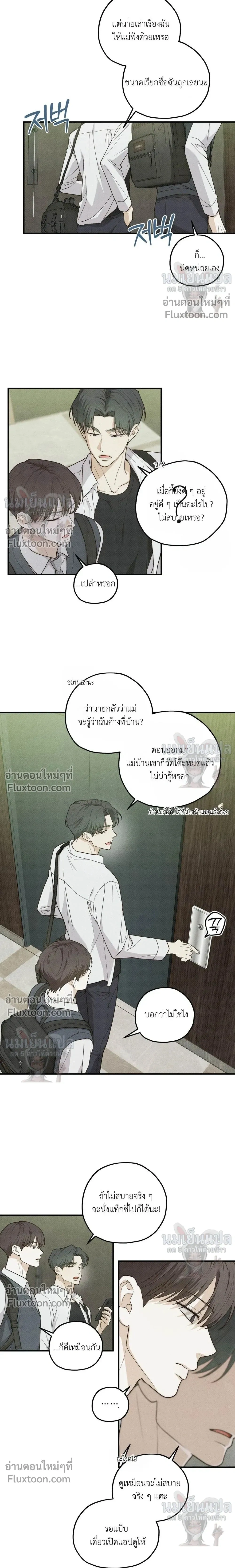 หน้าที่ 13