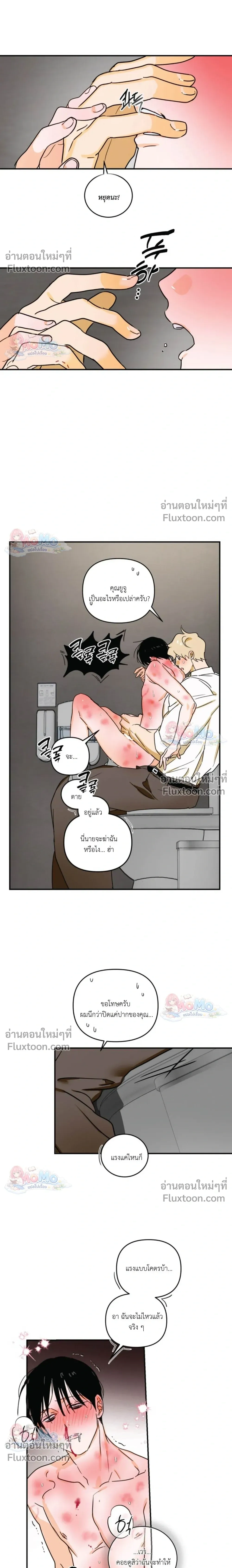 หน้าที่ 11