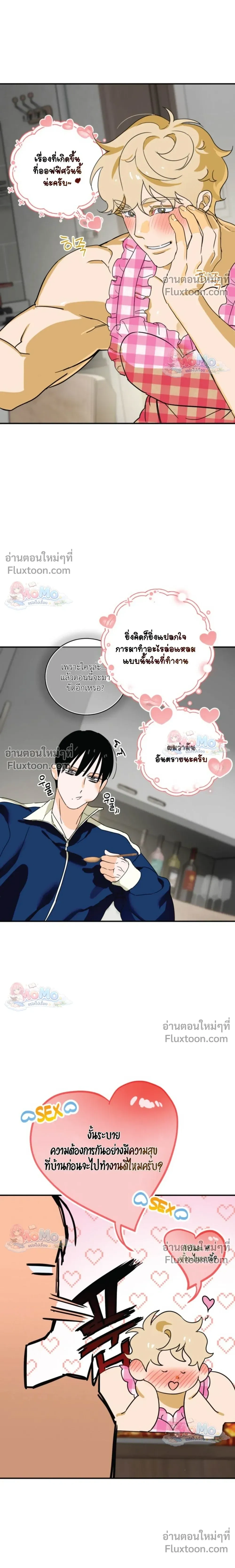 หน้าที่ 17