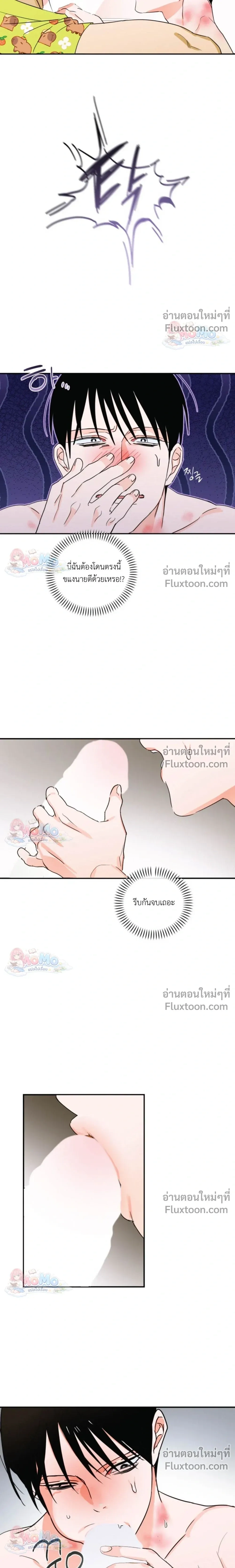 หน้าที่ 13