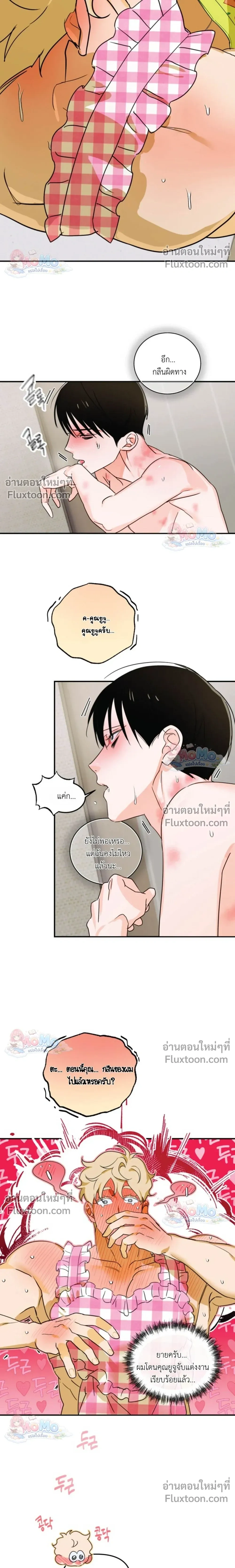 หน้าที่ 17