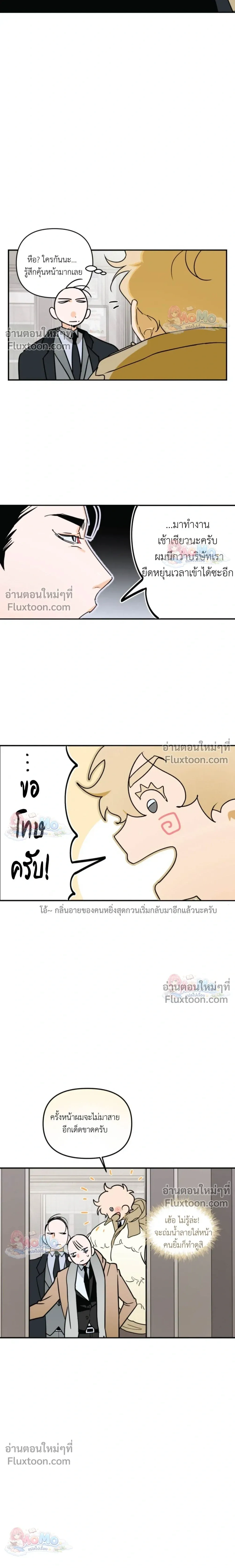 หน้าที่ 11