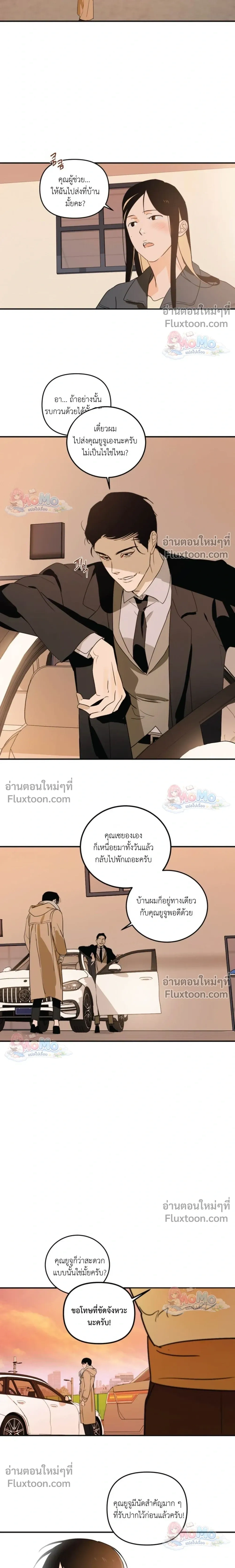หน้าที่ 17