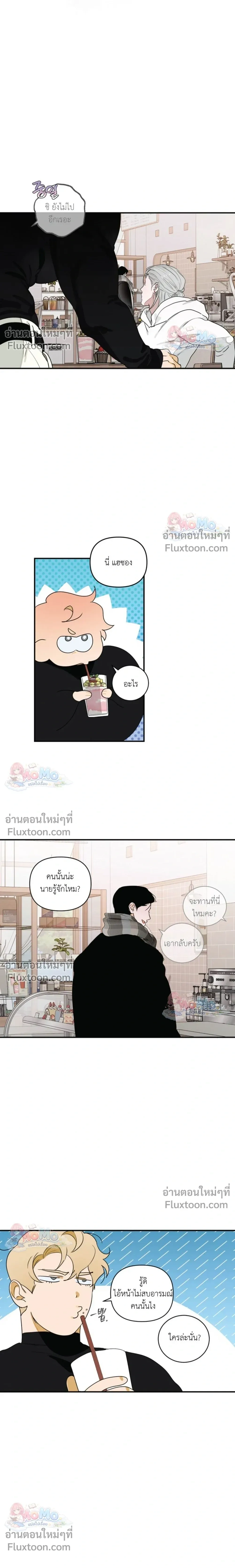หน้าที่ 13