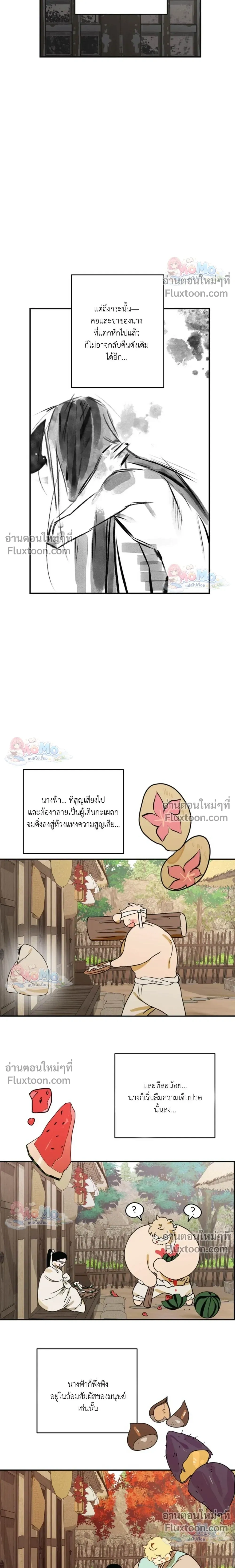 หน้าที่ 13