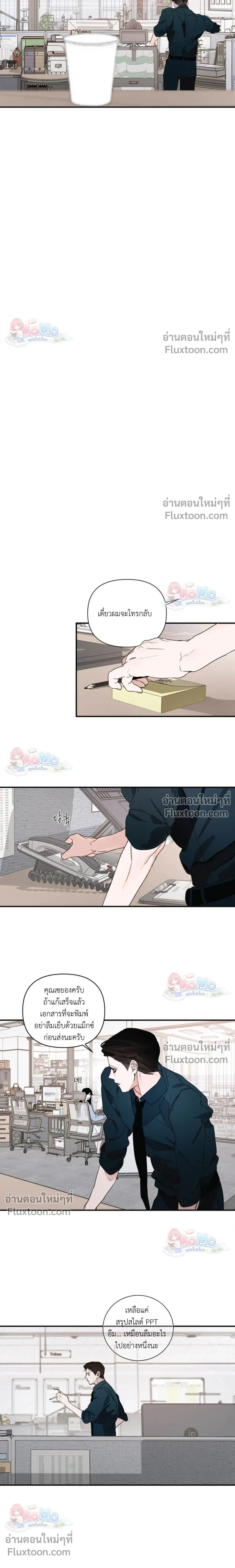 หน้าที่ 13