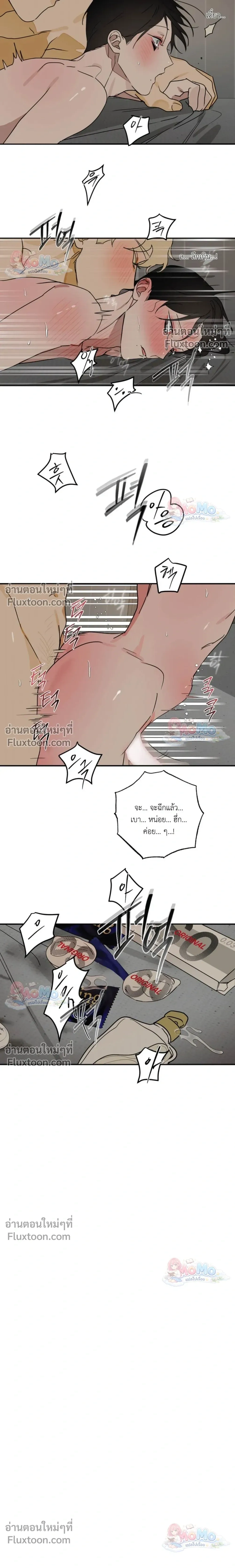 หน้าที่ 17