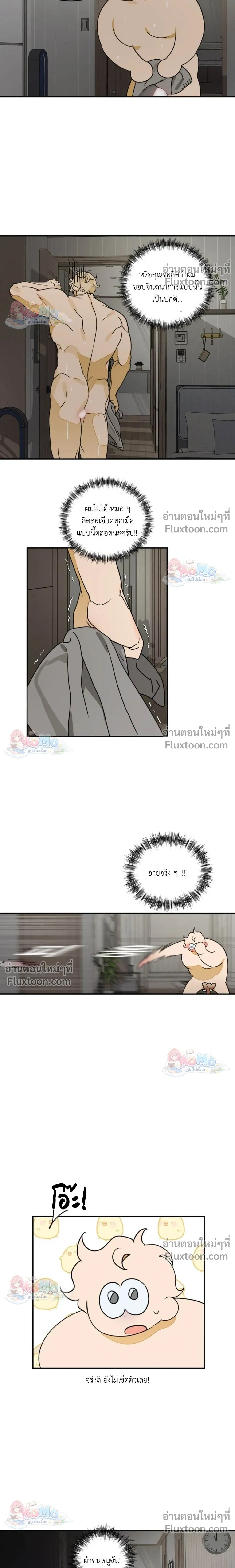 หน้าที่ 13