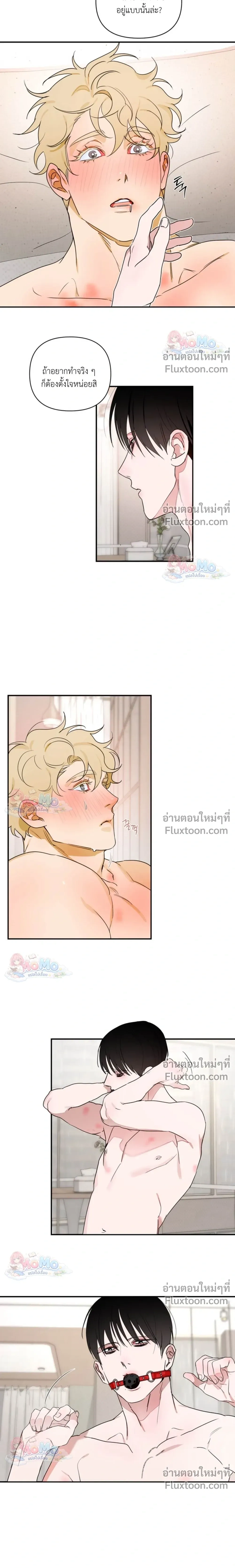 หน้าที่ 17