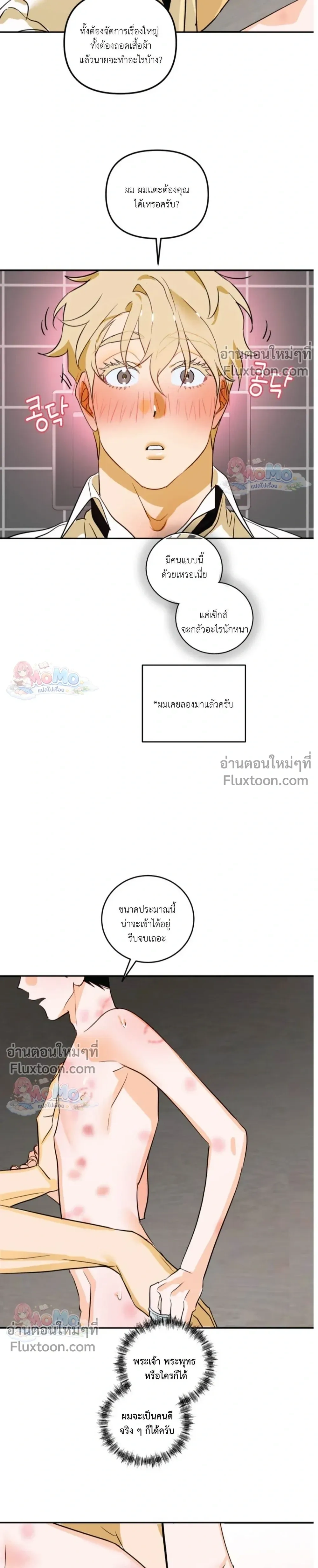 หน้าที่ 19