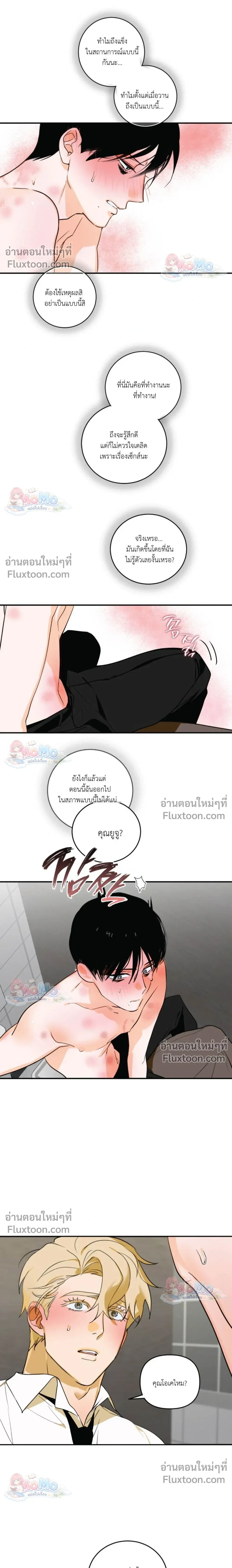 หน้าที่ 13
