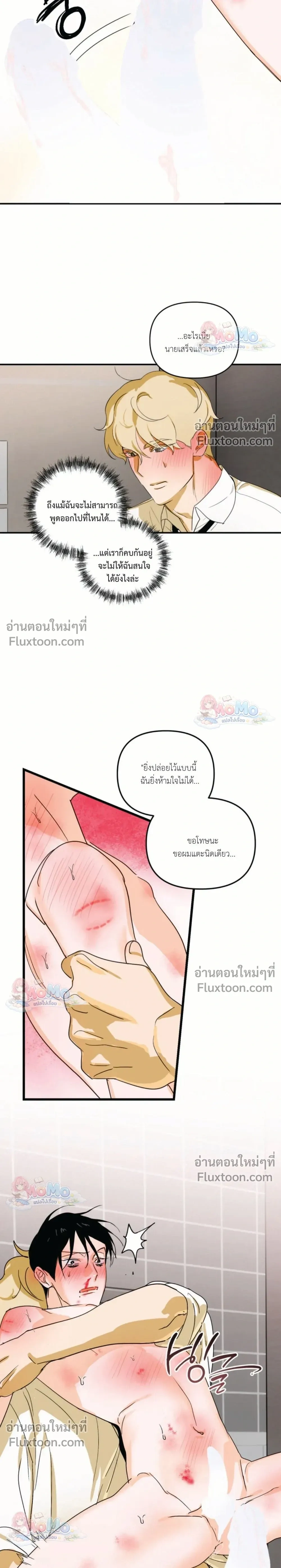 หน้าที่ 17