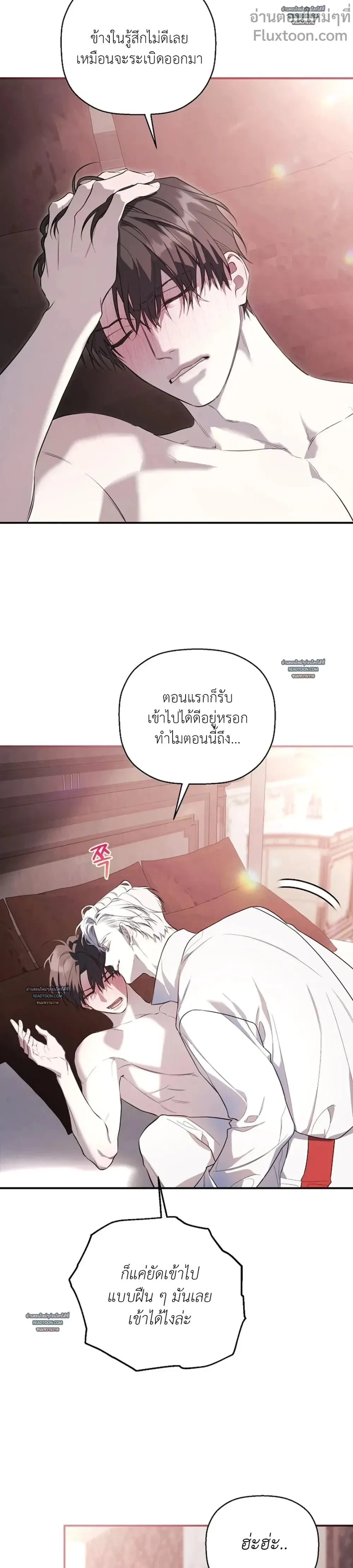 หน้าที่ 13