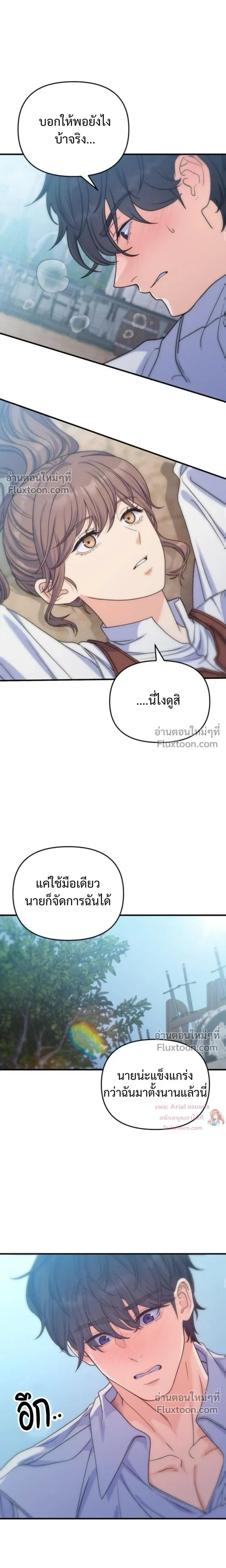 หน้าที่ 13
