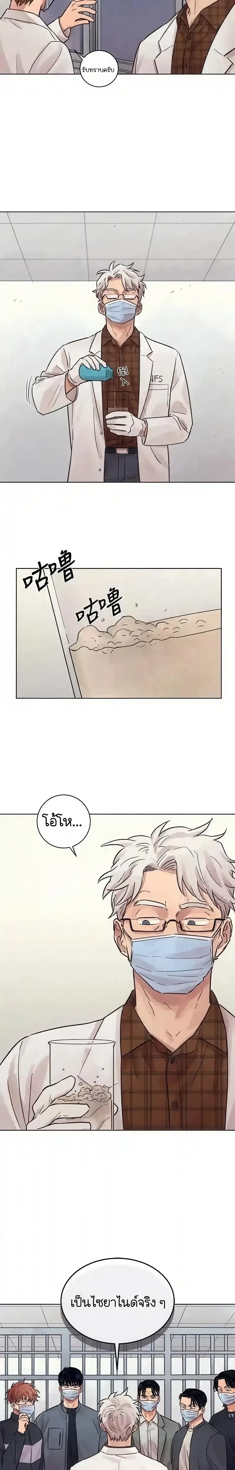 หน้าที่ 17