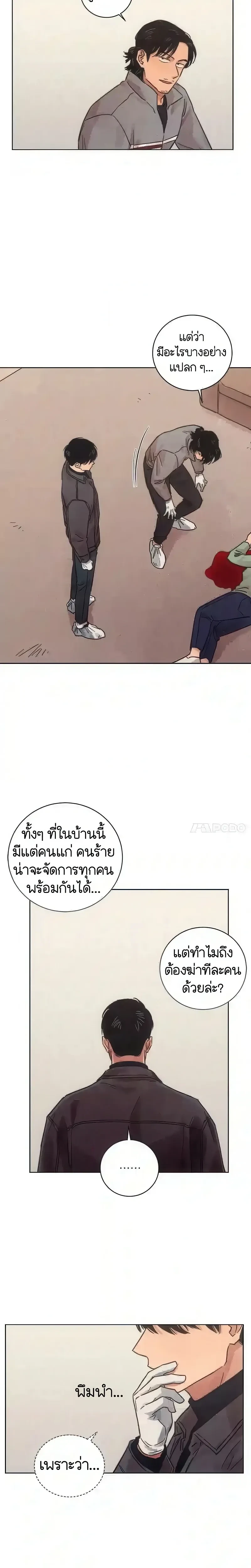 หน้าที่ 13