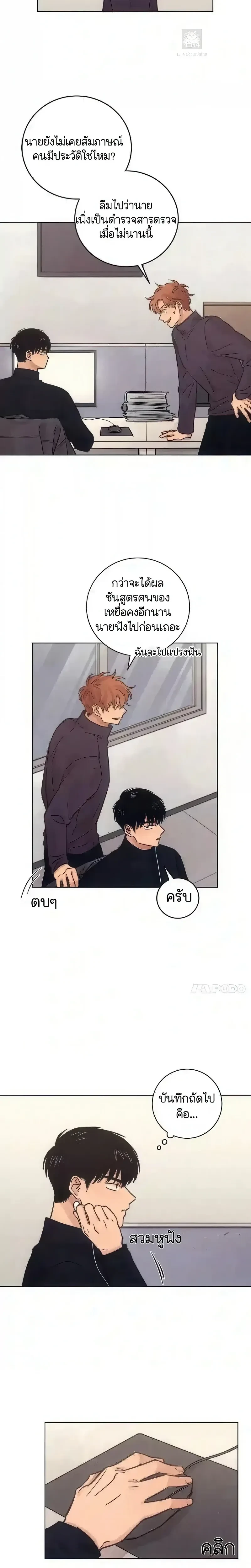 หน้าที่ 17