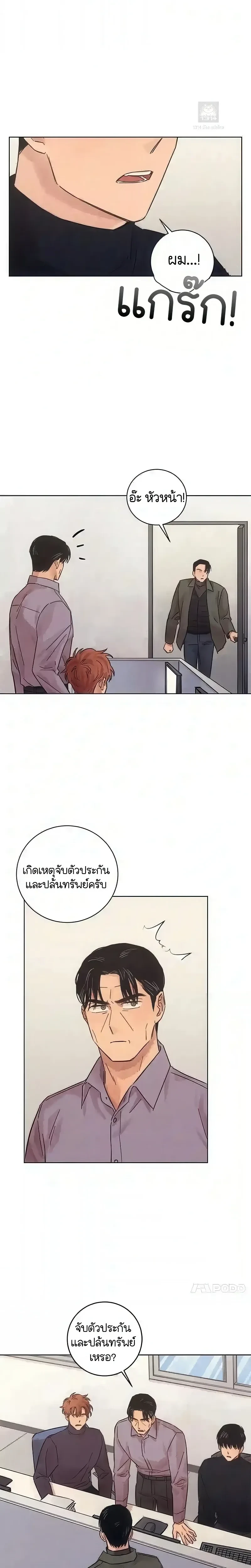 หน้าที่ 17