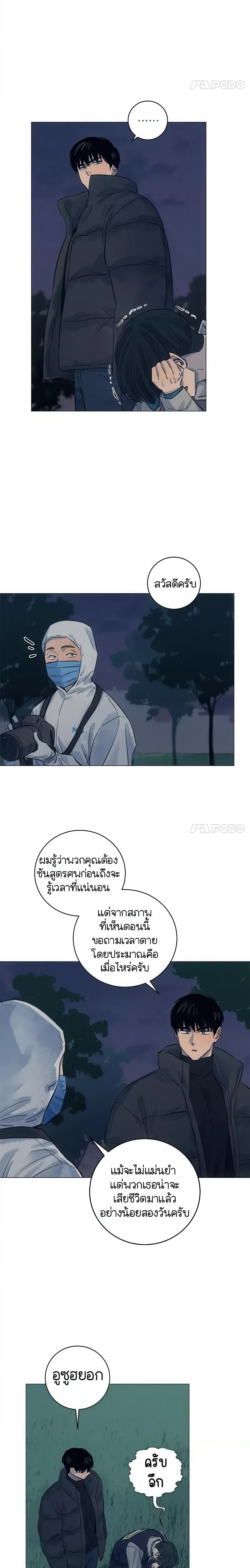 หน้าที่ 13