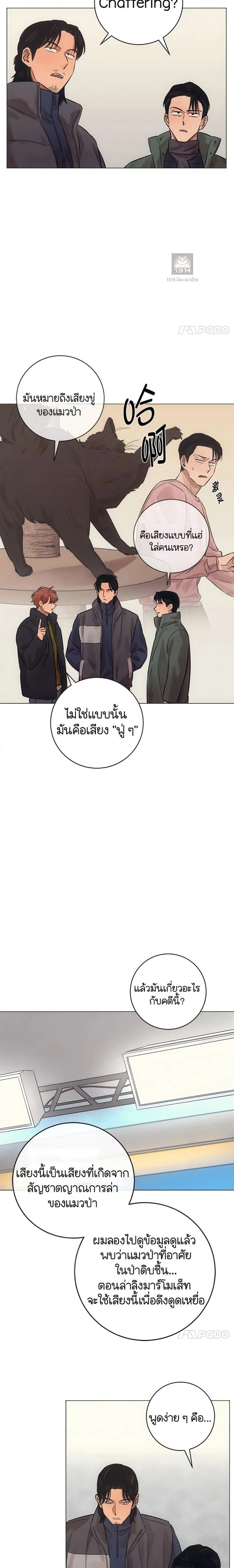 หน้าที่ 19