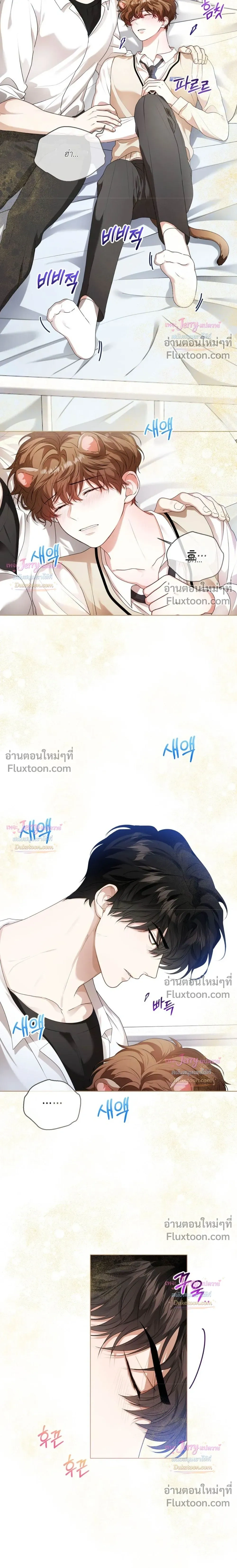 หน้าที่ 17