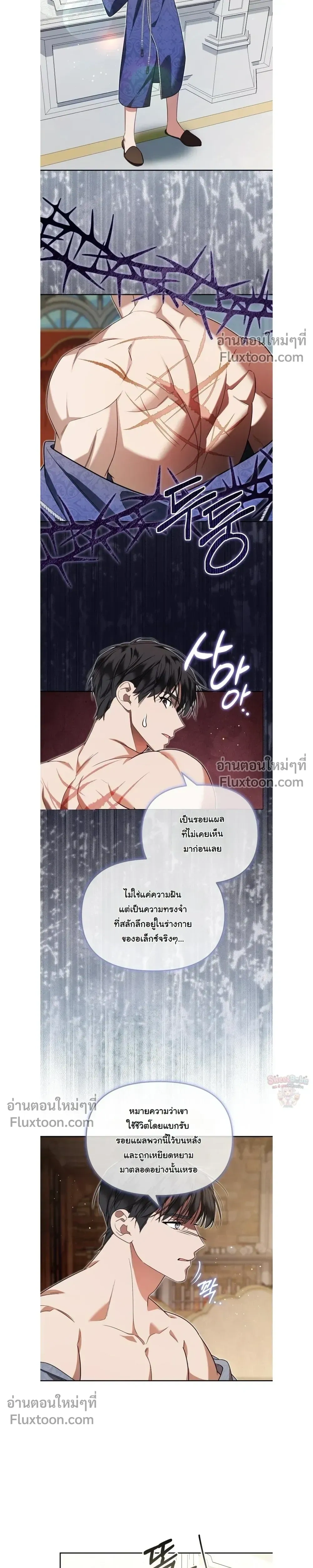 หน้าที่ 13