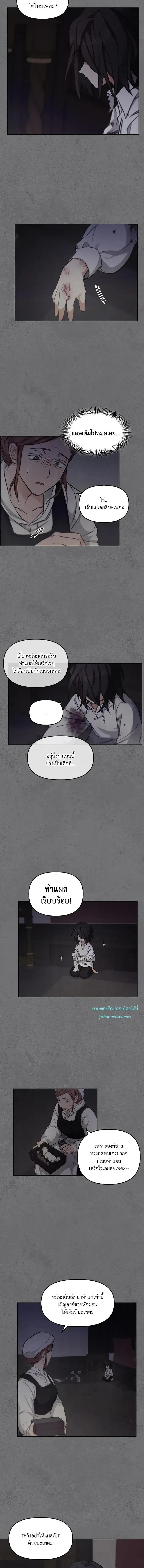 หน้าที่ 8