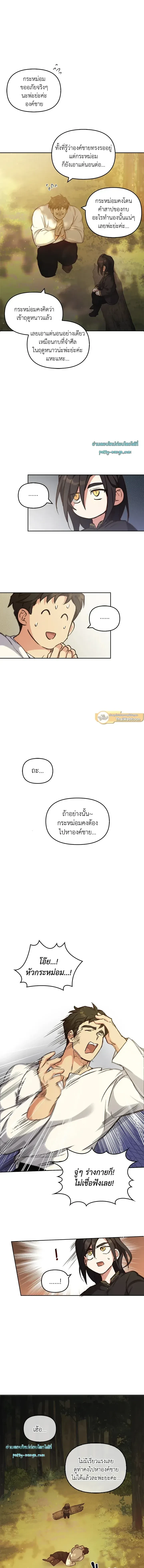 หน้าที่ 11