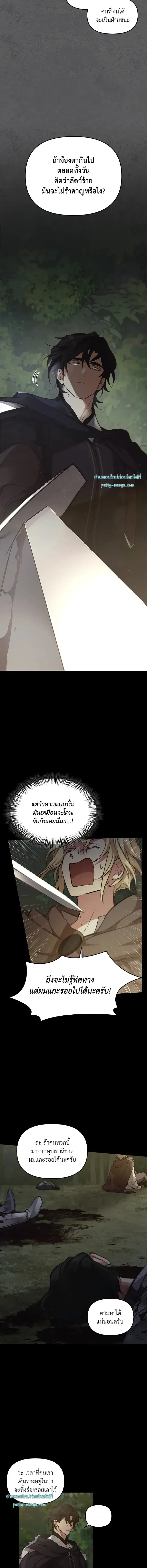 หน้าที่ 11