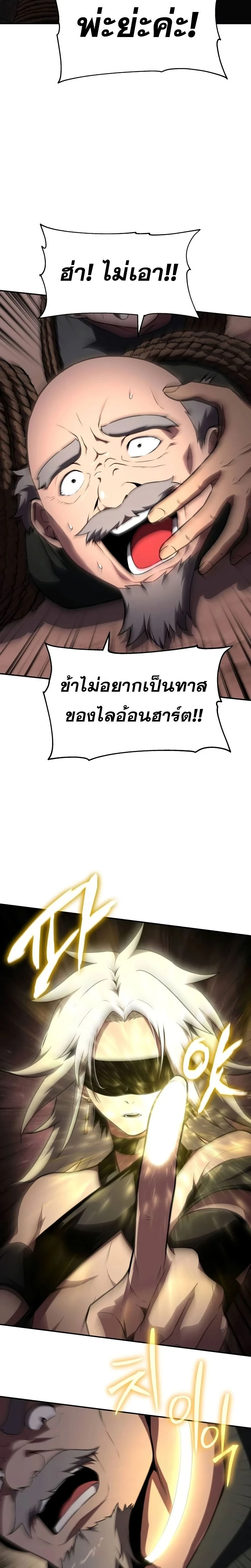 หน้าที่ 29