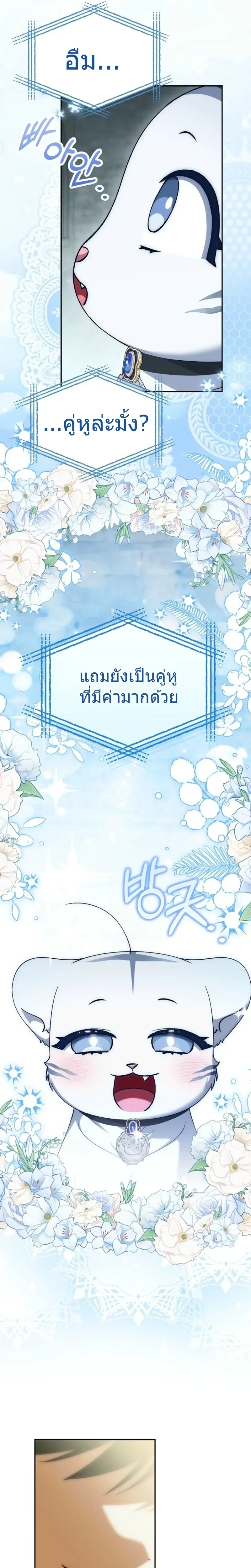 หน้าที่ 28