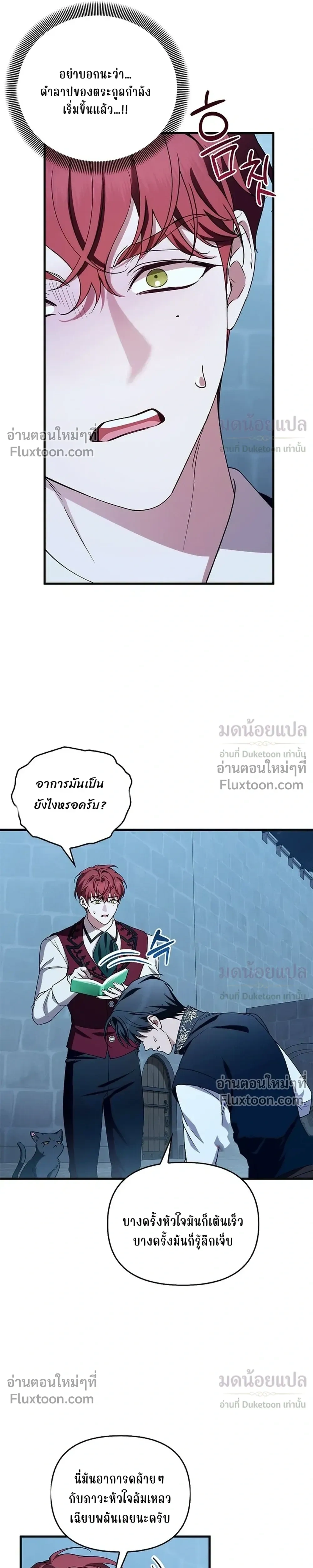 หน้าที่ 17
