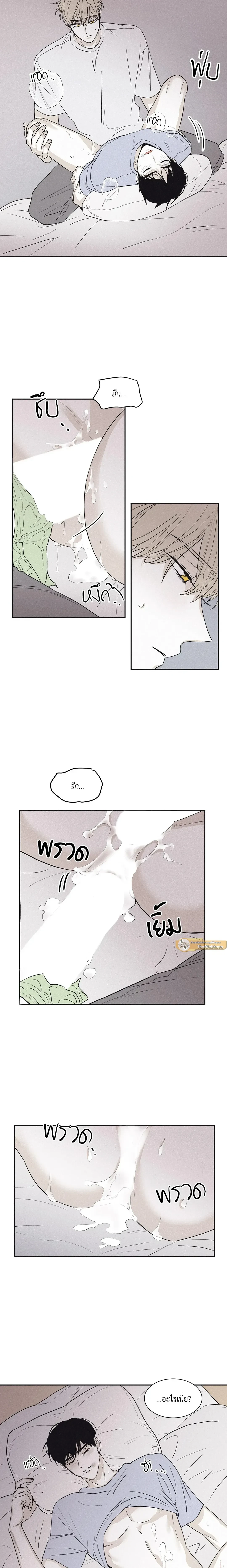 หน้าที่ 11