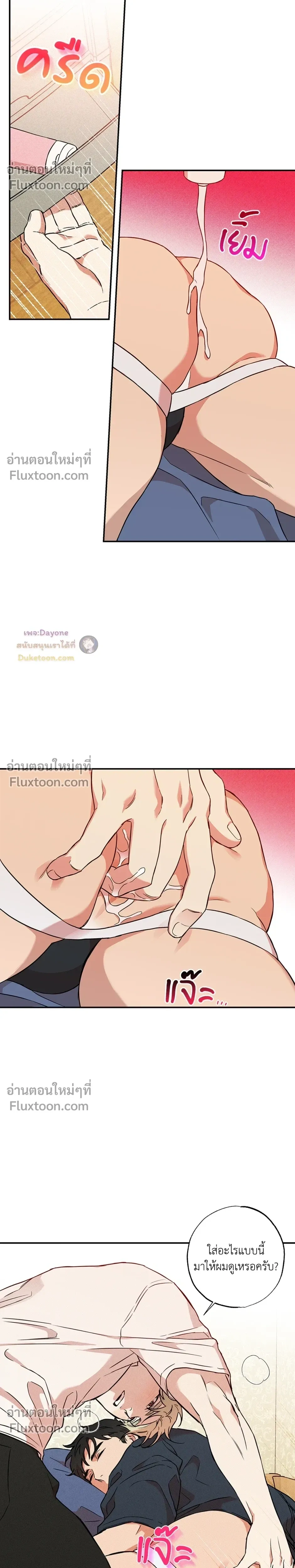 หน้าที่ 17