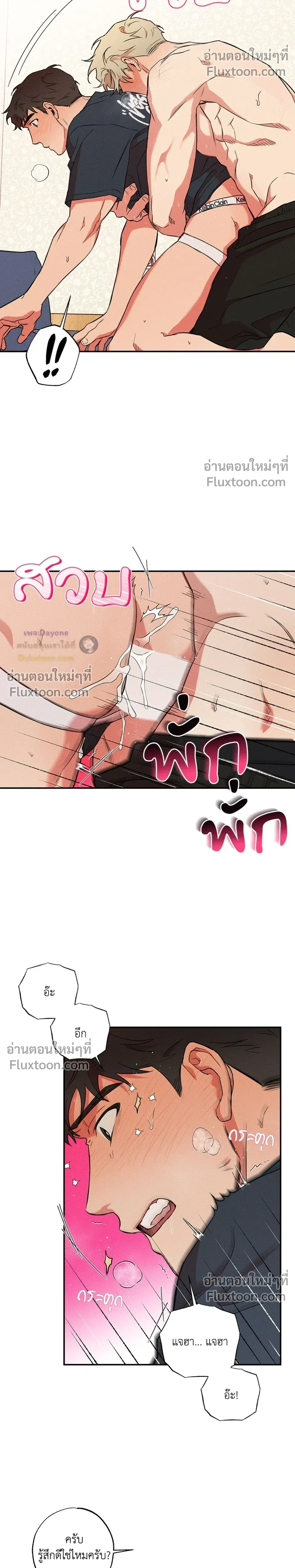 หน้าที่ 17