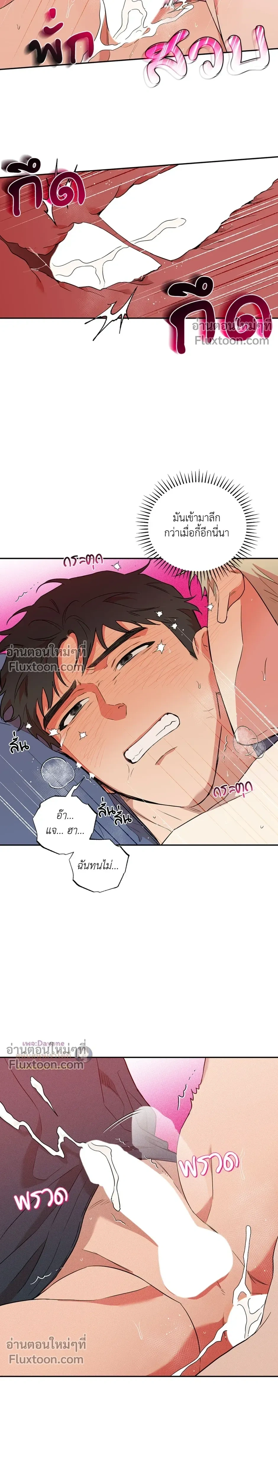 หน้าที่ 13